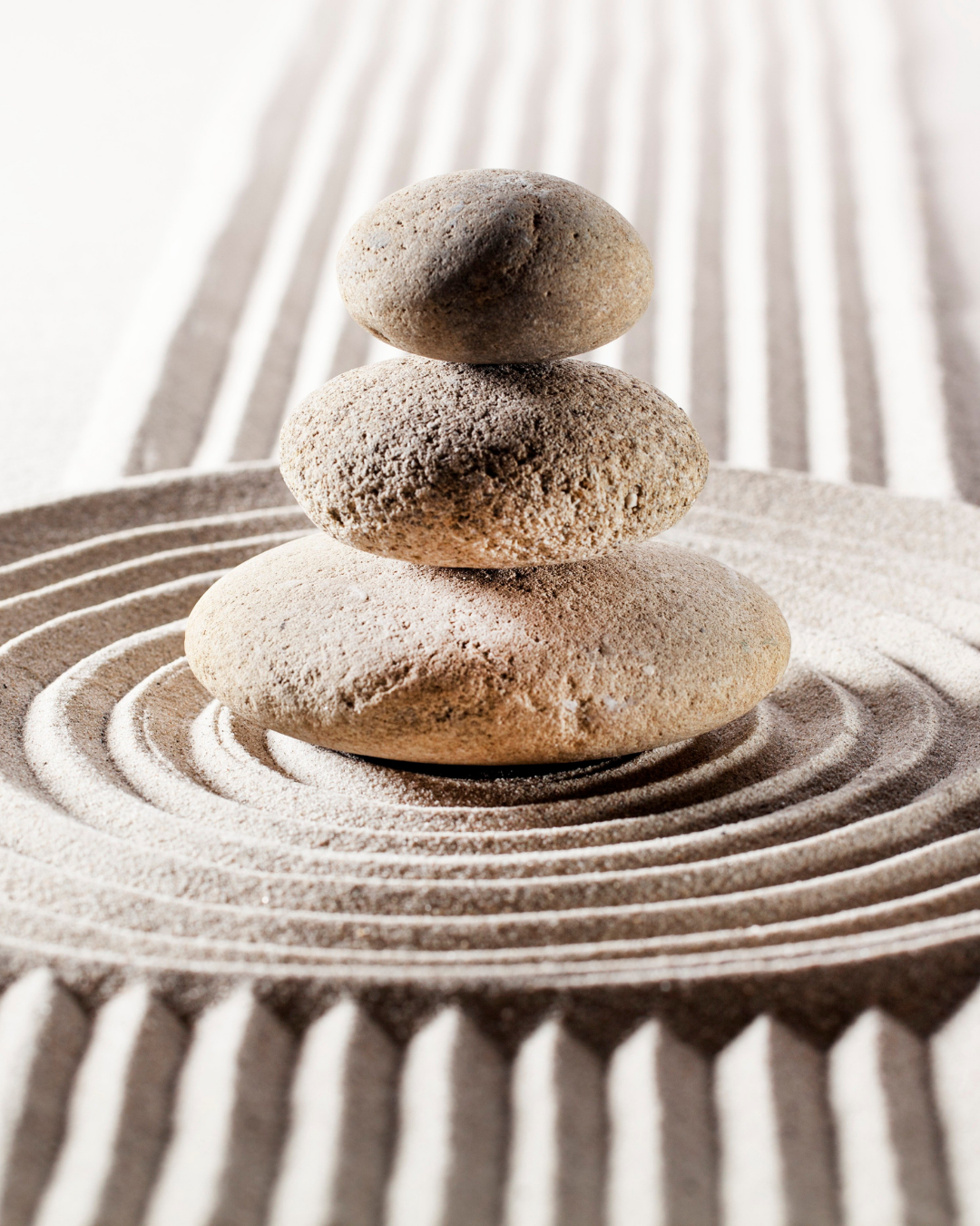 Zen Mind, Beginner’s Mind