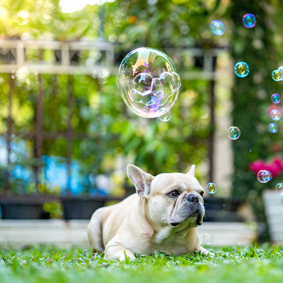 Lazy meets Entertaining!